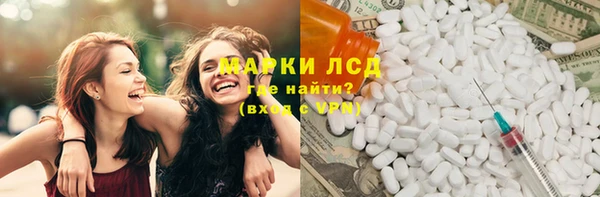 прущие грибы Тайга