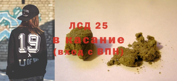прущие грибы Тайга